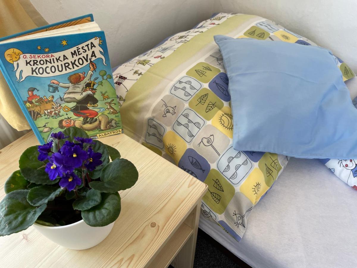 Penzion Slunecnice Dvur Kralove nad Labem Luaran gambar
